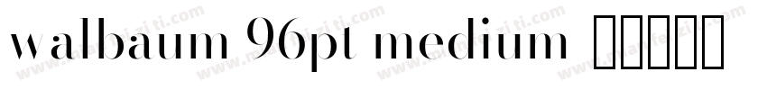 walbaum 96pt medium字体转换